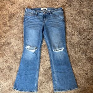 Hollister low rise bootcut women’s jeans